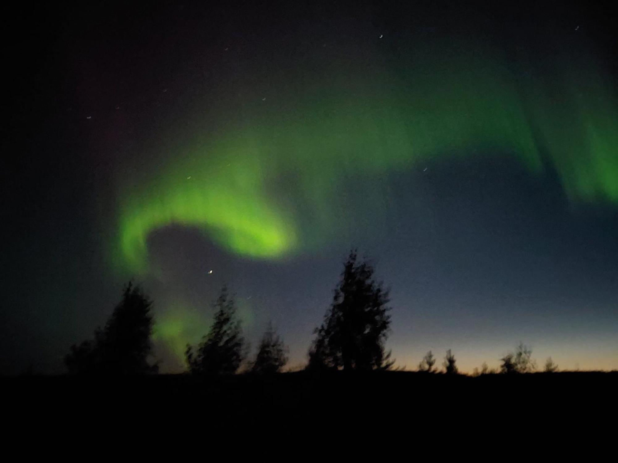 Lapland Forest Lodge Рованиеми Экстерьер фото